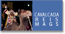 Banner Cavalcada Reis Mags