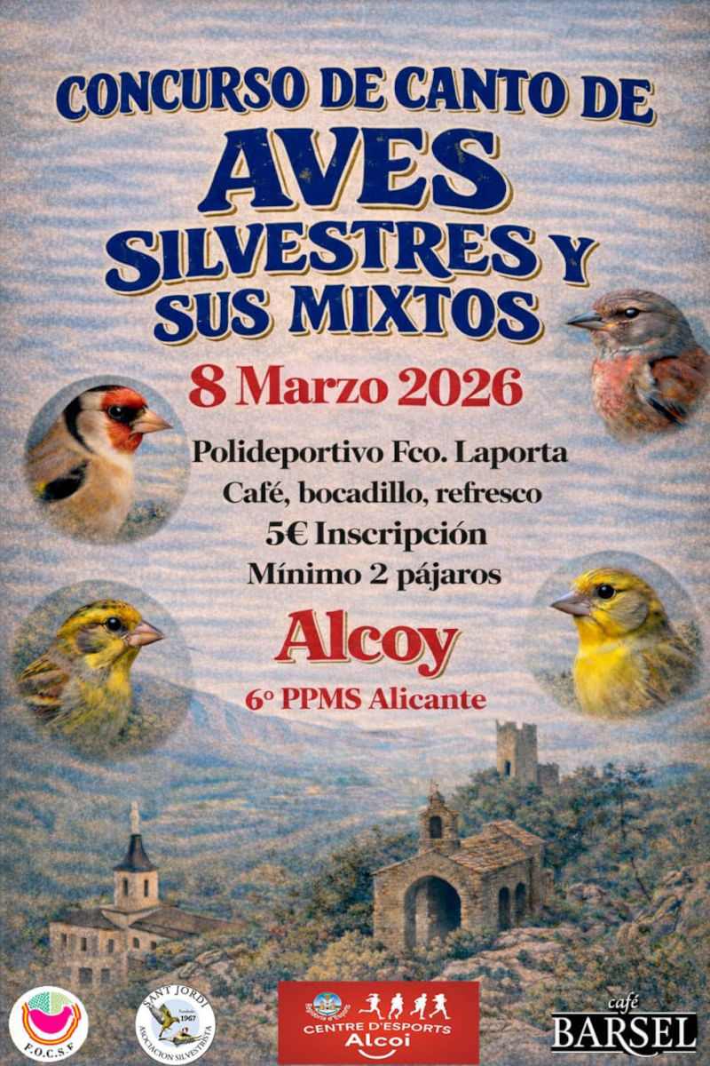 Cartel Concurso Canto de Aves