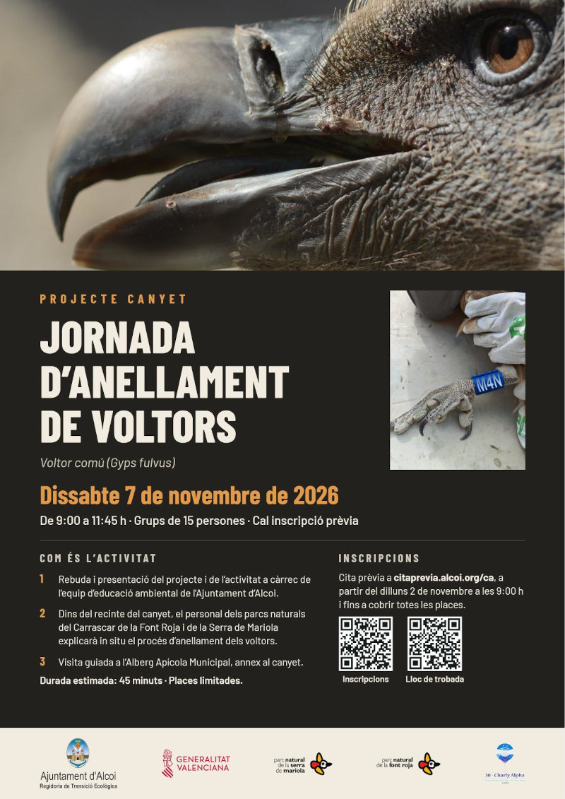 Cartell anillament voltors explicació detallada en la noticia