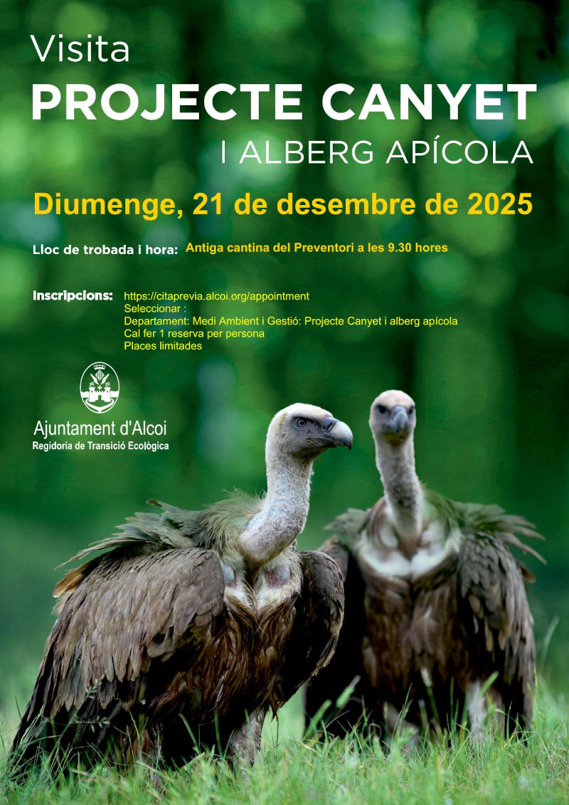 Cartell Proyecto Canyet explicació detallada en la notícia