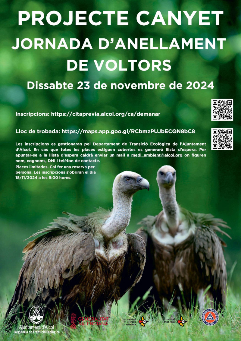 Cartell jornada d'anellament de voltors, explicació detallada en la notícia