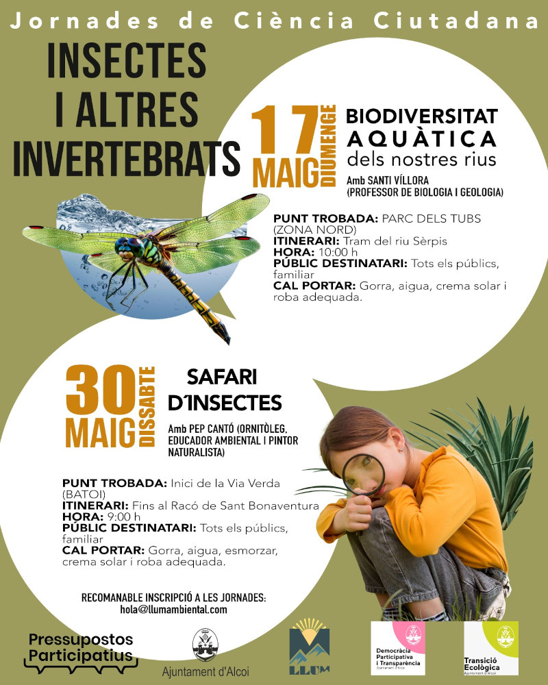 Cartell insectes explicació detallada en la noticia