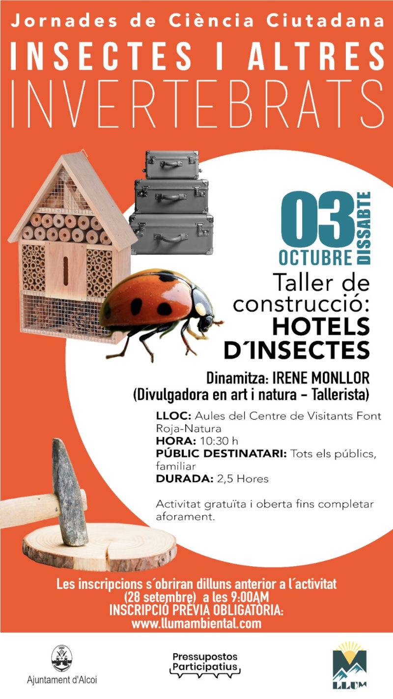 Cartell hotels insectes explicació detallada en la noticia