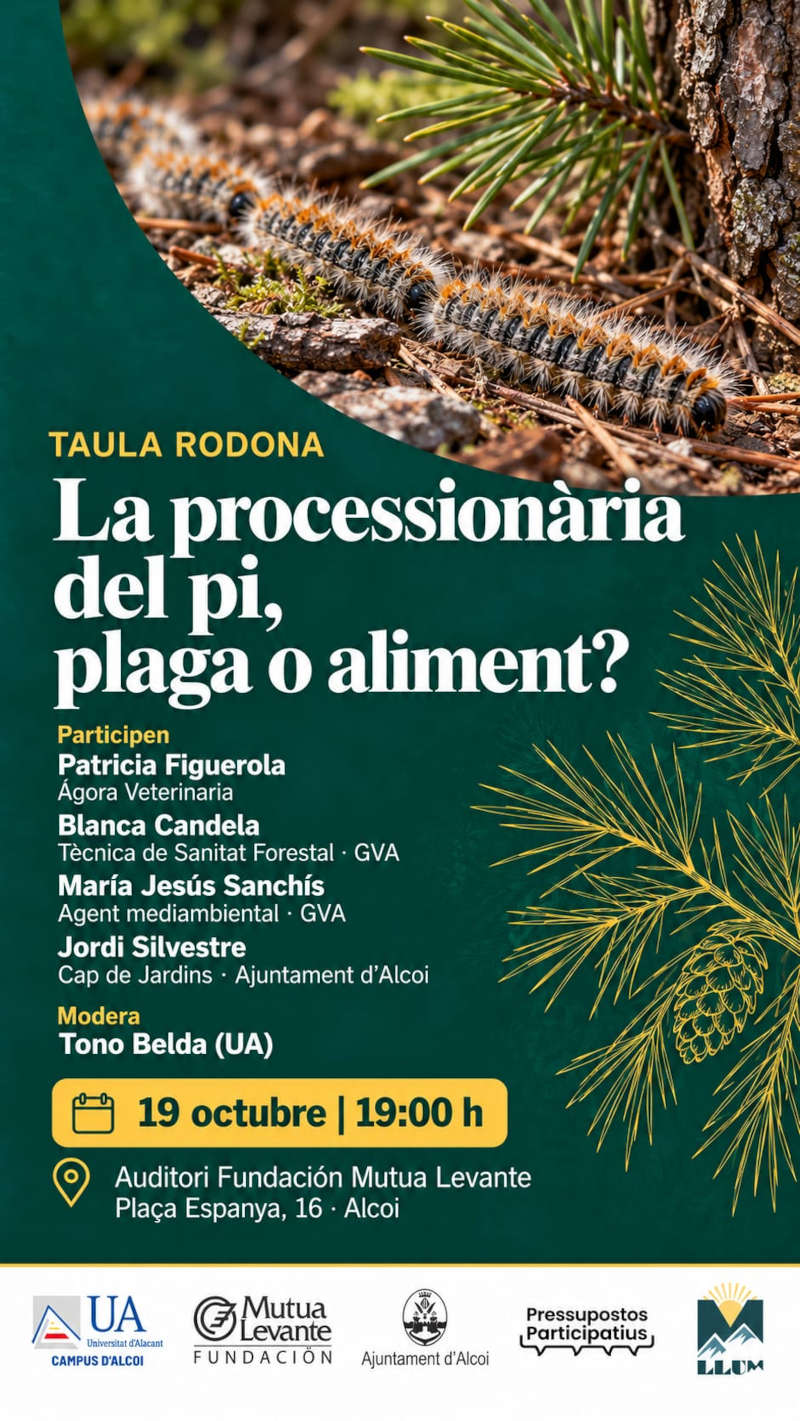 Cartell processionària explicació detallada en la noticia