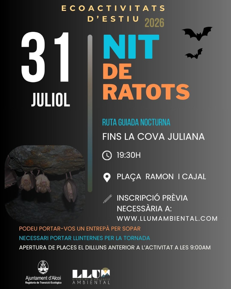 Cartell nit de ratots 31 de juliol explicació detallada en la notícia