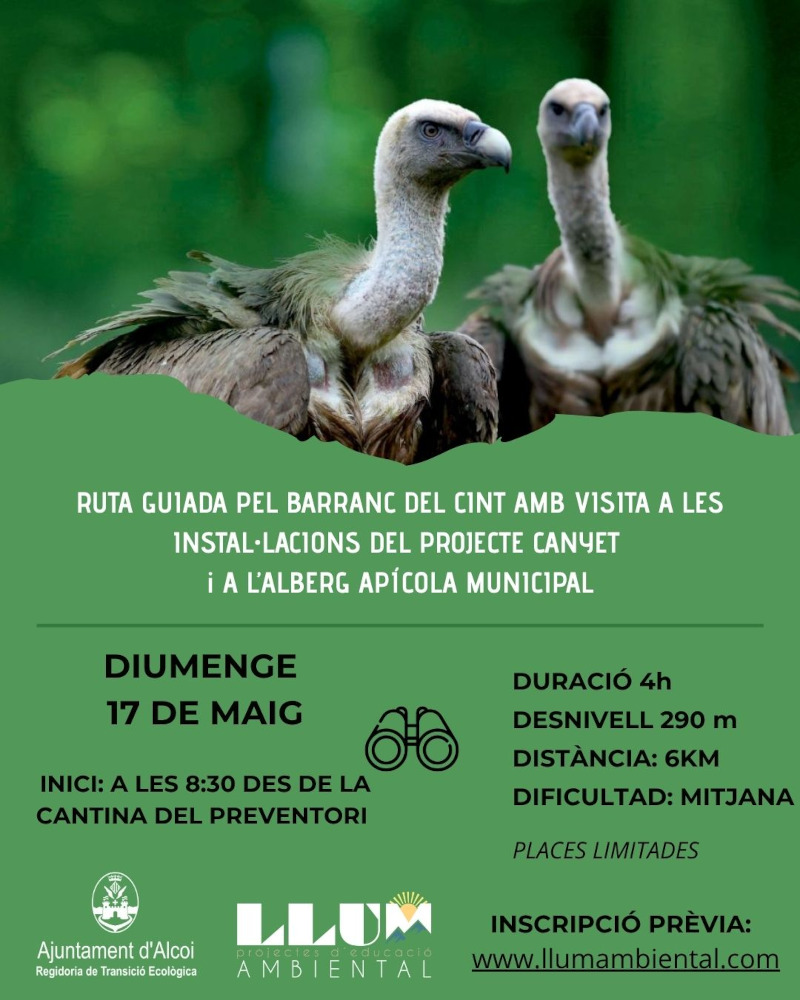 Cartell visita guiada voltors explicació detallada en la noticia