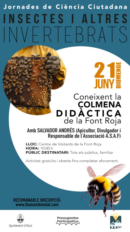 Jornada insectes juny II