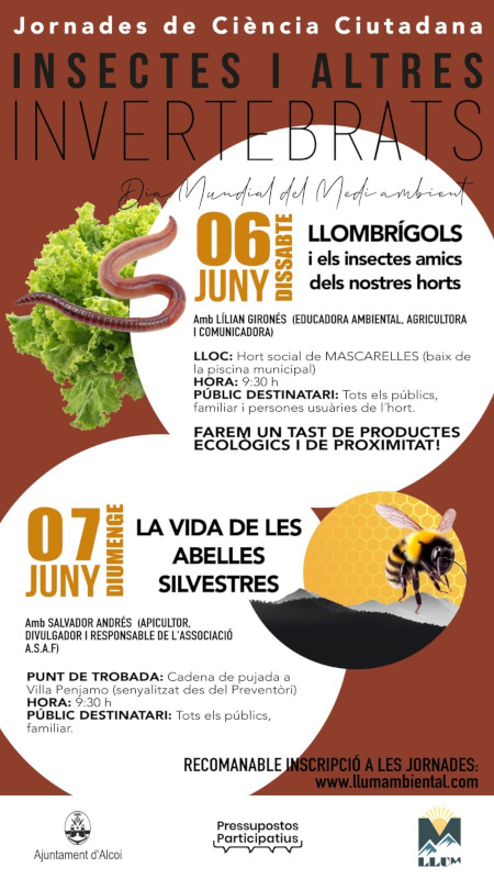 Jornades insectes juny