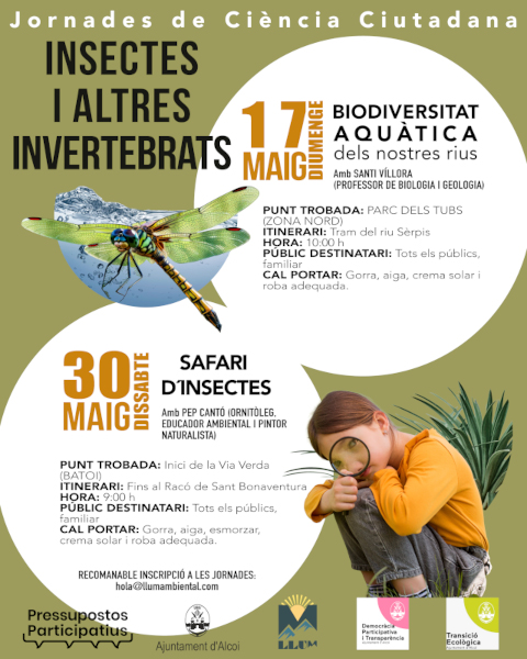 Cartell jornades d'insectes - mes de maig