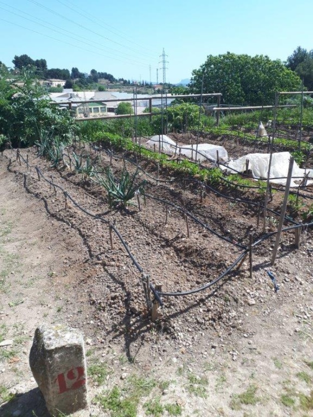 Huerto Urbano de Alcoy
