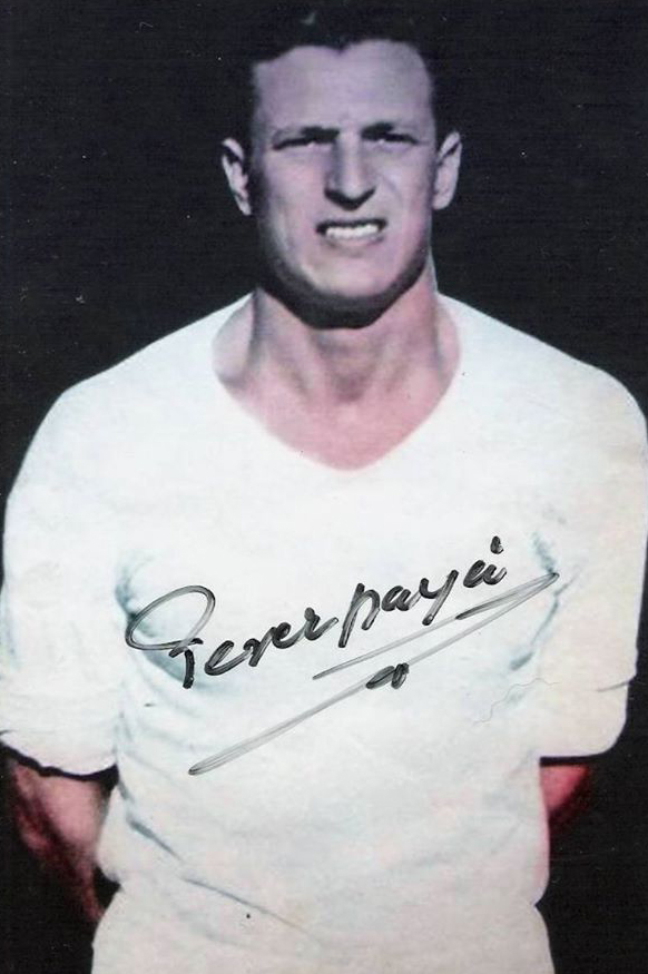 perez paya