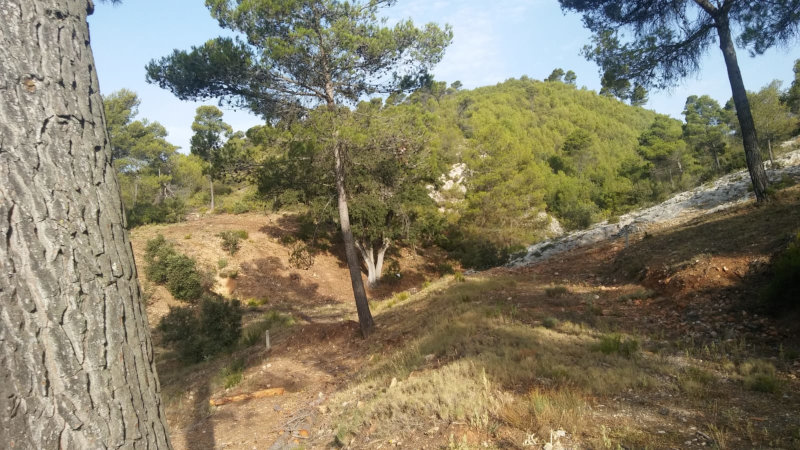 Cortafuegos de Montesol en una imagen de archivo