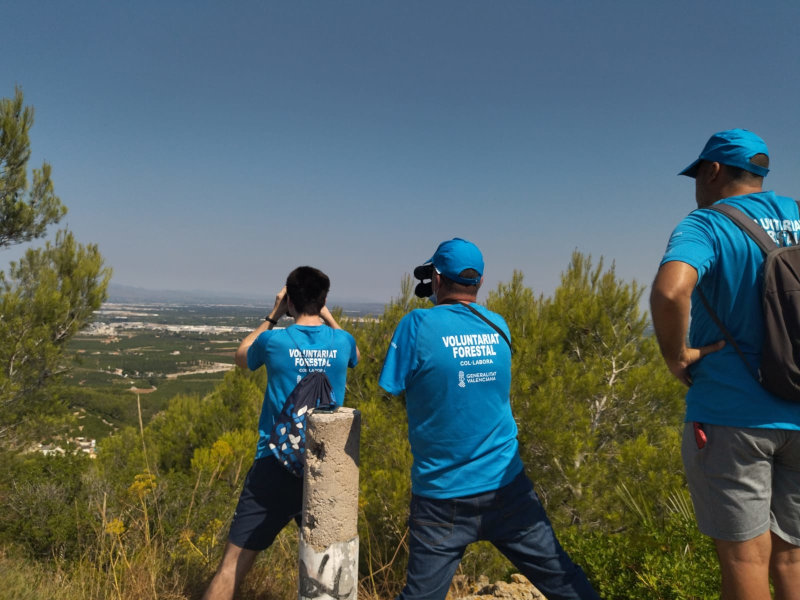 Voluntariat ambiental durant els treballs de vigilància