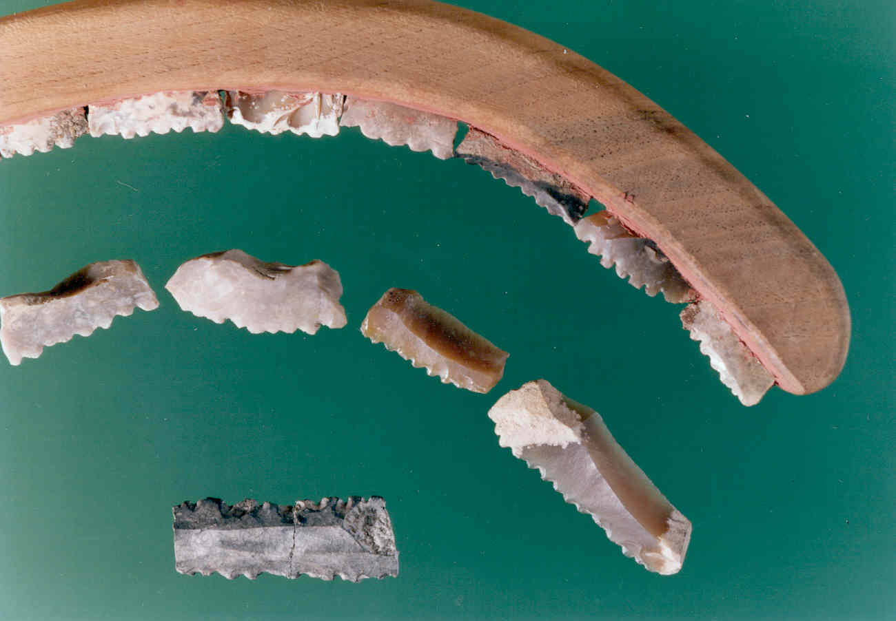 Dents de falç i reconstrucció d'una falç