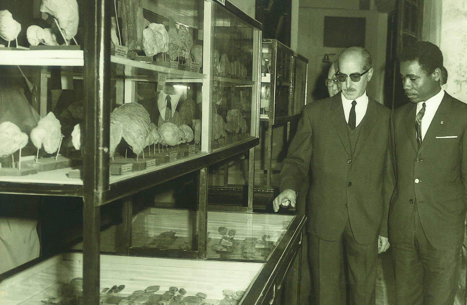 Vicent Pascual, conservador del Museu des de 1958, mostra la col·lecció paleontològica
