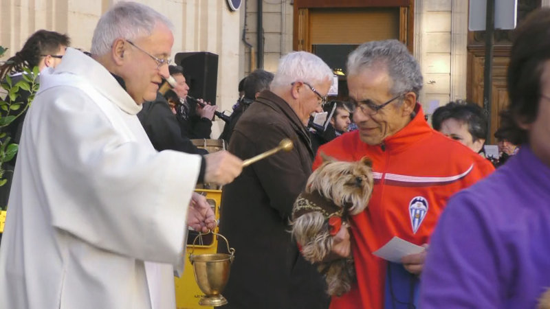 Foto de sacerdote bendiciendo una mascota