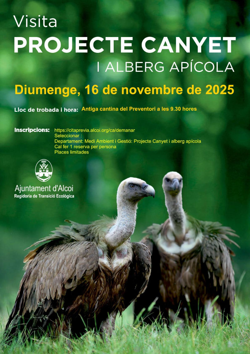 Cartel visita guiada Proyecto Canyet explicación detallada en la noticia| Cartell visita guiada Projecte Canyet explicació detallada en la noticia