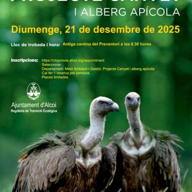 Cartell Proyecto Canyet explicació detallada en la notícia