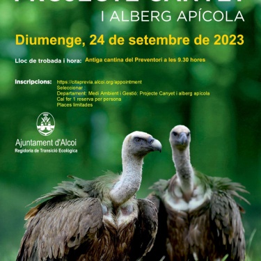Cartell 24 de setembre