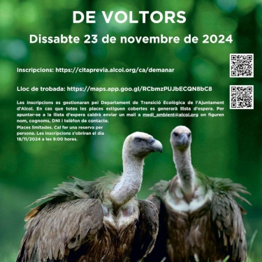 Cartell jornada d'anellament de voltors, explicació detallada en la notícia