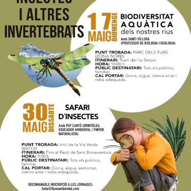 Cartel insectos explicación detallada en noticia