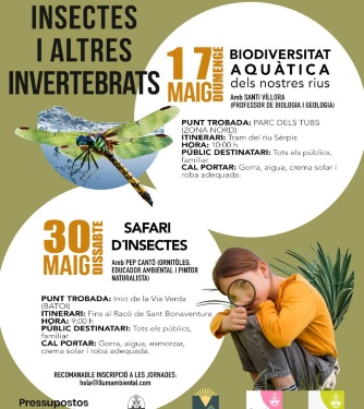 Cartell insectes explicació detallada en la noticia