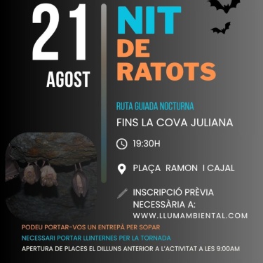 Cartell nit de ratots 21 d'agost explicació detallada en la notícia