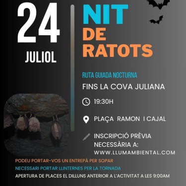 Cartell nit ratots 24 de juliol explicació detallada en la notícia