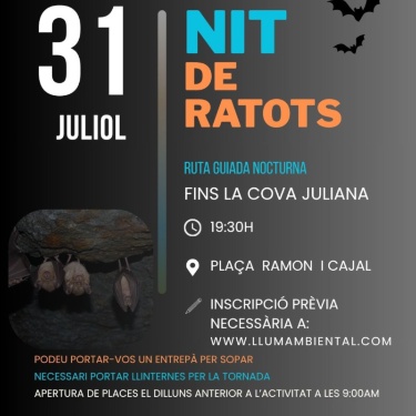 Cartell nit de ratots 31 de juliol explicació detallada en la notícia