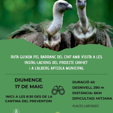 Cartel visita guiada buitres explicación detallada en la noticia