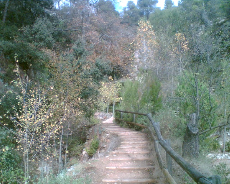 Escalera de acceso a la fuente