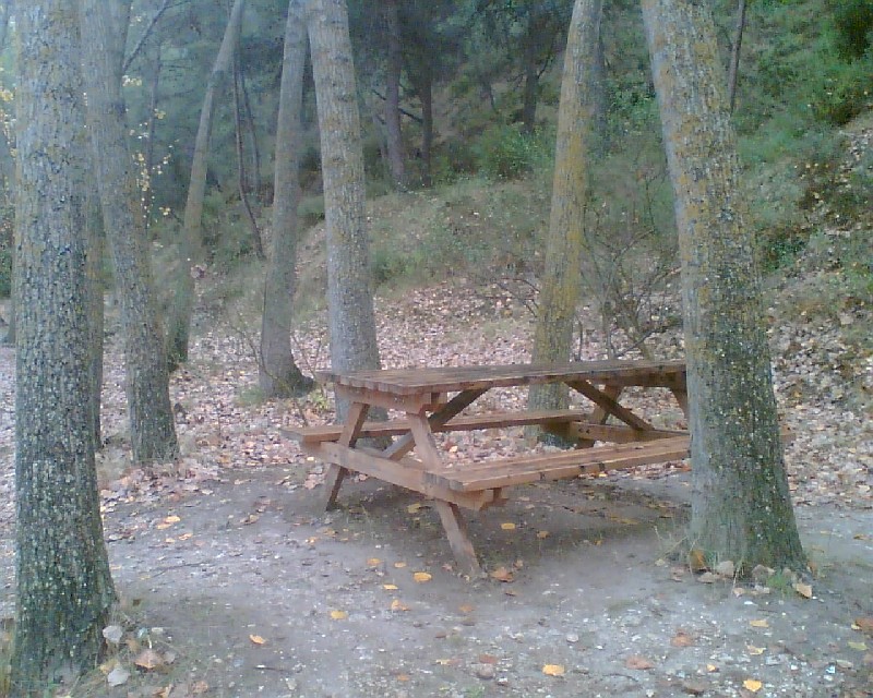 Taula rectangular de fusta amb bancada al costat dels arbres