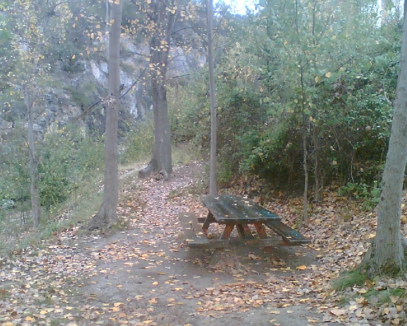 Mesa rectangular de madera con bancada junto a los árboles