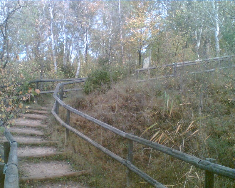 Escalera de acceso al área recreativa