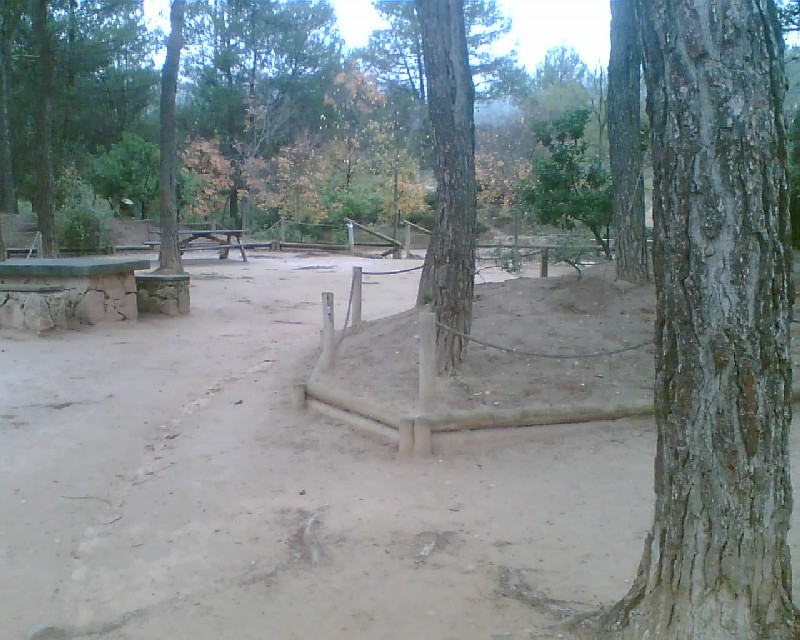 Mesa y bancos junto a los árboles