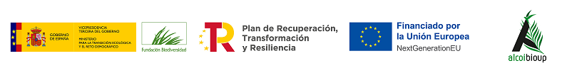 Logotips de Govern d'Espanya Ministeri per a la transformació ecològica i repte demogràfic - Fundació Biodiversitat, Pla de Recuperació, Transformació i Resiliència, Unió Europea i Alcoi BioUp