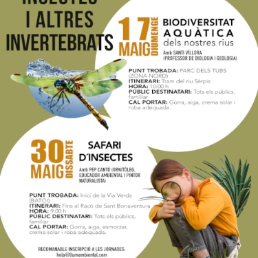 Cartel Jornadas de insectos - mes de mayo