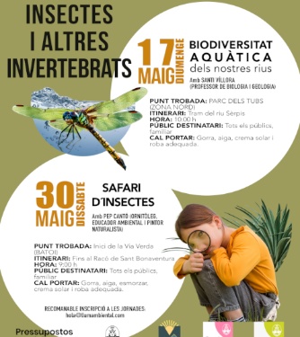 Cartell jornades d'insectes - mes de maig