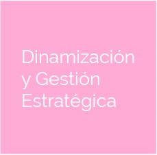 Dinamización y Gestión Estratégica