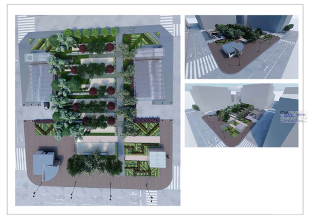 Infografia del proyecto de la Rosaleda