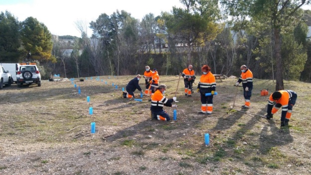 Trabajos llevados a cabo por personas del programa Avalem Experiència