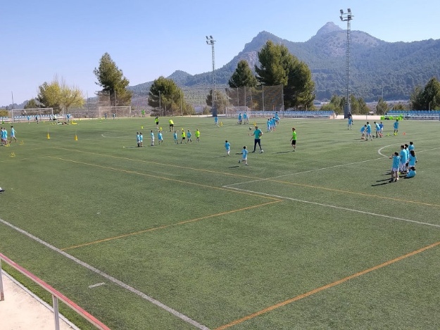 campo 2 Normando Llopis