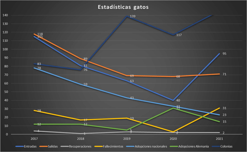Gráfica gatos abandonados