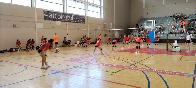 partido de volley en el 3D