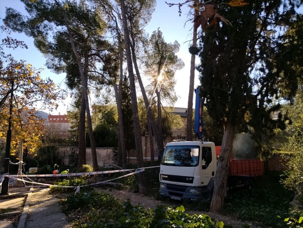 Actuació parc El Romeral