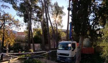Actuación parque Romeral