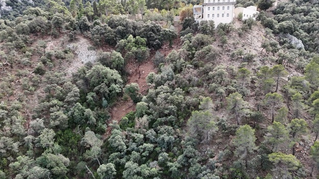 Foto que mostra l'estat d'un tallafoc en la Font Roja