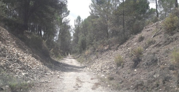 Solsides en la Via Verda