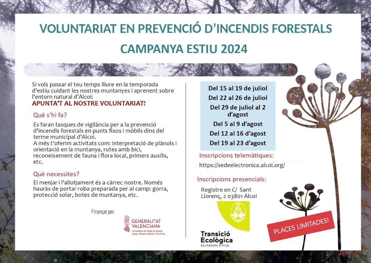 Cartell Voluntariat Ambiental 2024