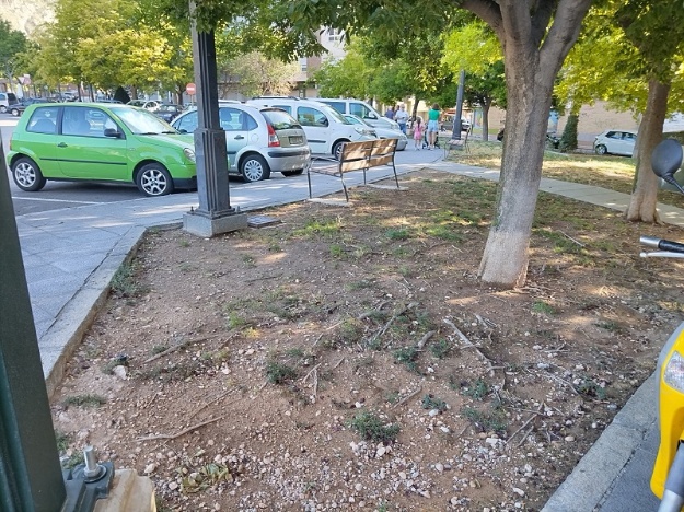 Foto parcial de la zona verde de la Plaça del Pintor Navarrete